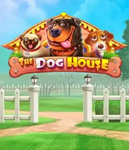 Pragmatic Play's The Dog House adventure, offering a fun-filled adventure among playful pups. Enjoy features including sticky wilds, perfect for delivering entertaining gameplay. A must-try for pet lovers a cheerful theme with a chance for big wins.